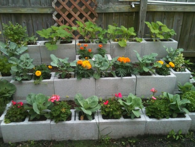 10+ Inspiring DIY Cinder Block Garden