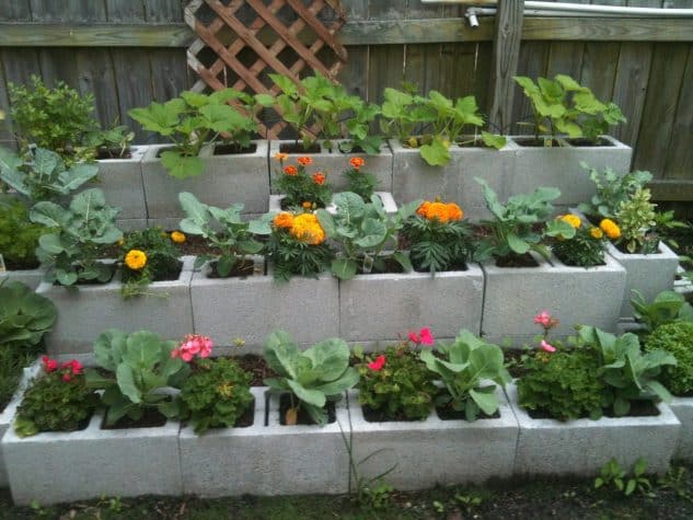 cinder-block-garden-1