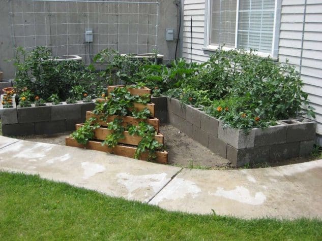 10+ Inspiring DIY Cinder Block Garden