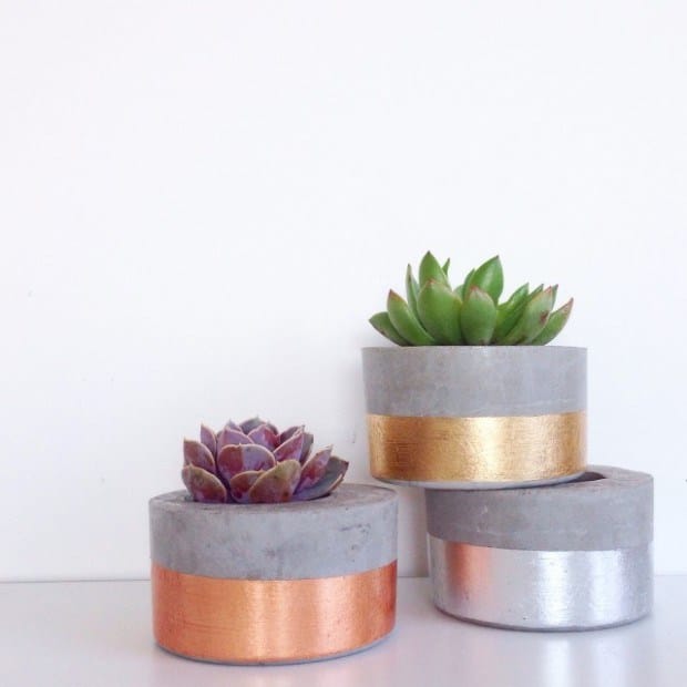 Gorgeous DIY Concrete Flower Vases