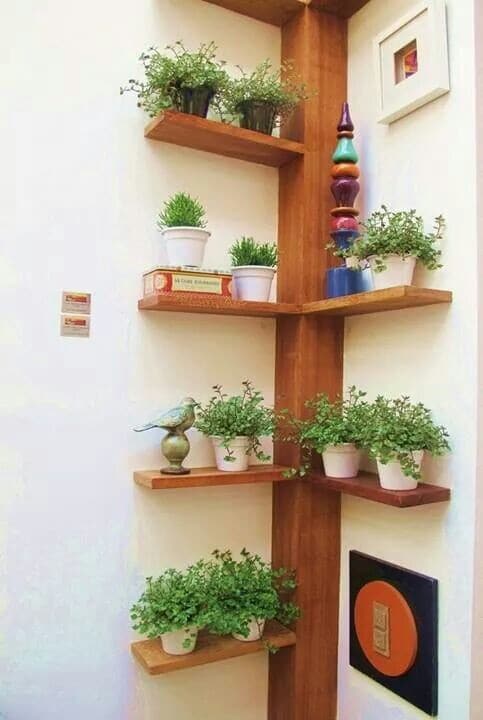 15+ Fascinating Corner Shelves