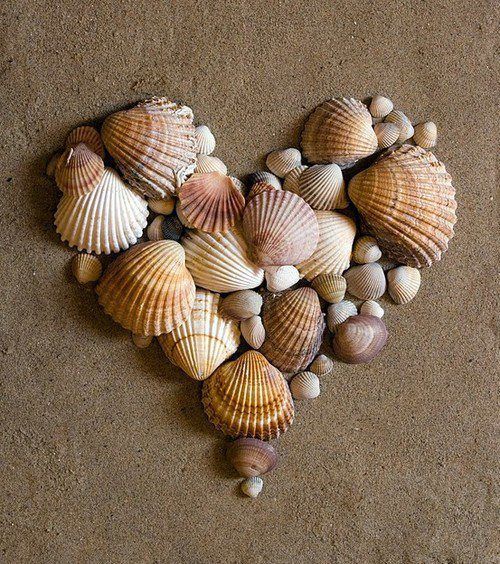 15+ Magical DIY Crafts With Seashells