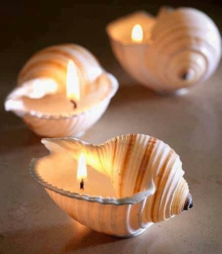 crafts-seashells-16