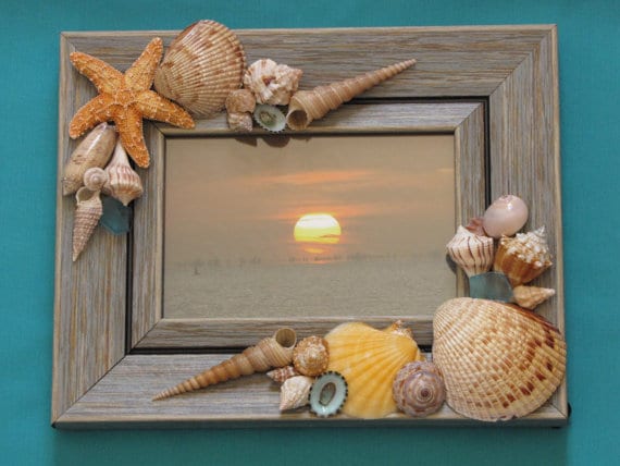 15+ Magical DIY Crafts With Seashells