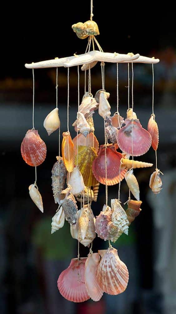 15+ Magical DIY Crafts With Seashells