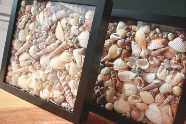 15+ Magical DIY Crafts With Seashells