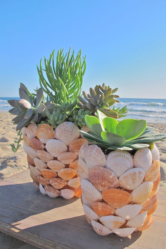 15+ Magical DIY Crafts With Seashells