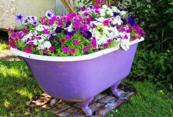 15+ Unique Flower Planters That Will Beautify Your Garden