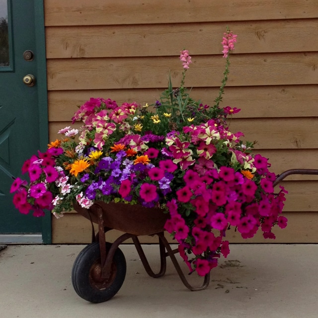 15+ Unique Flower Planters That Will Beautify Your Garden