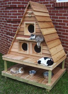 Creative Ideas for Cat Houses with Pallets: Crafting Feline Paradise