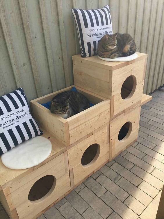 creative ideas for cat houses with pallets 2