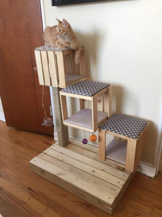 Creative Ideas for Cat Houses with Pallets: Crafting Feline Paradise