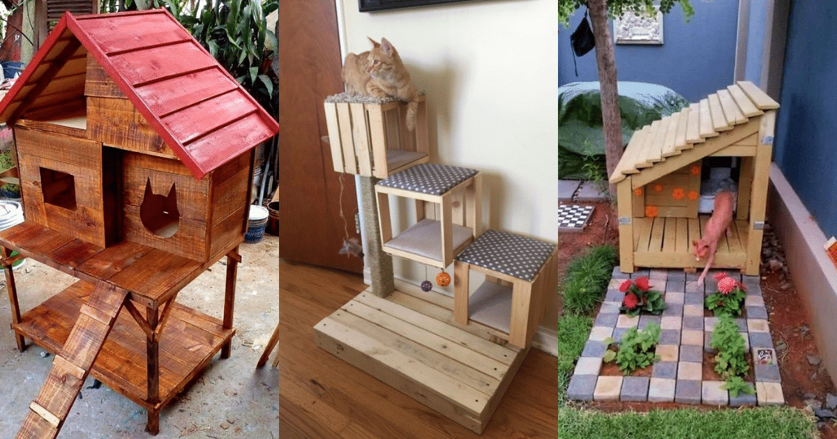 creative ideas for cat houses with pallets