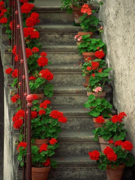 Creative ideas for decorating stairs with vases