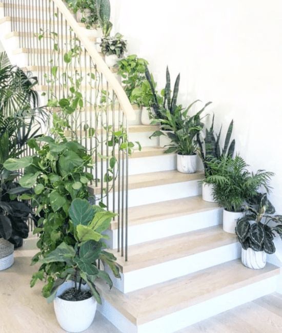 Creative ideas for decorating stairs with vases