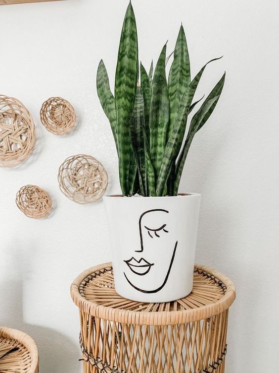 Transform your Terracotta Pot with just paint