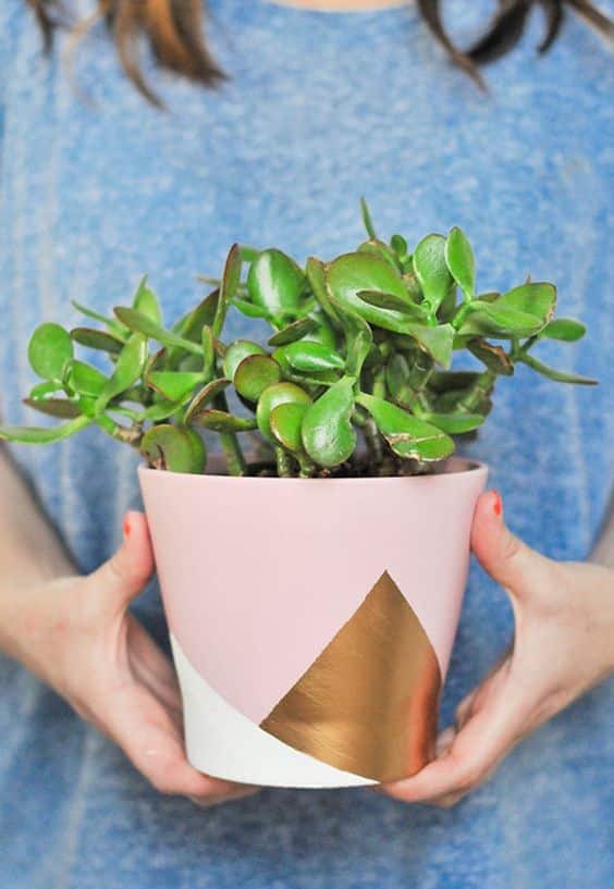 Transform your Terracotta Pot with just paint