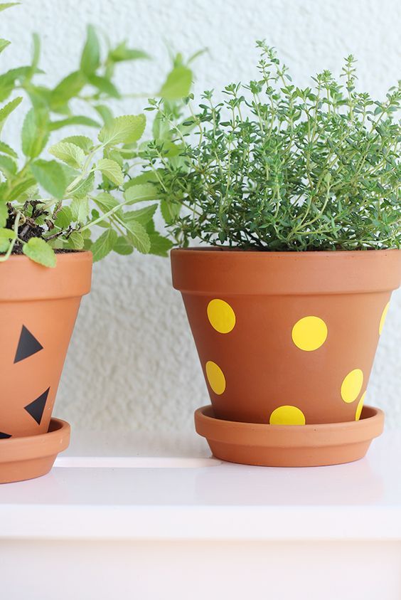 Transform your Terracotta Pot with just paint