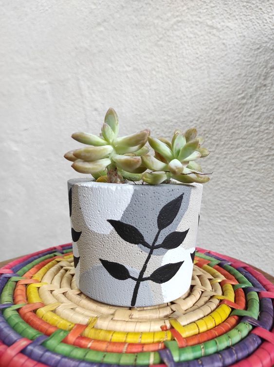 Transform your Terracotta Pot with just paint