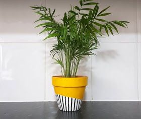 Transform your Terracotta Pot with just paint