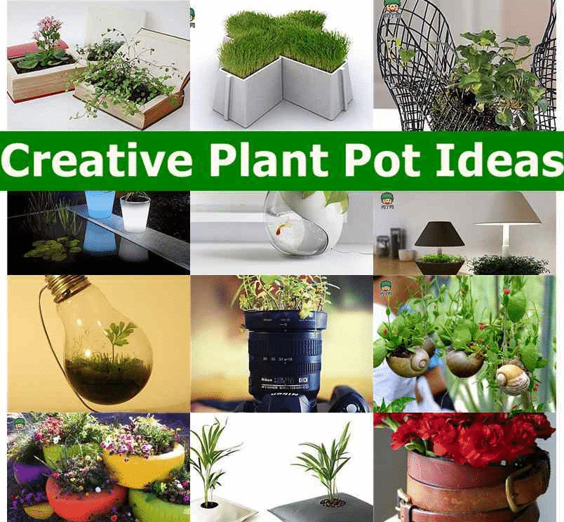 creative plant pot ideas