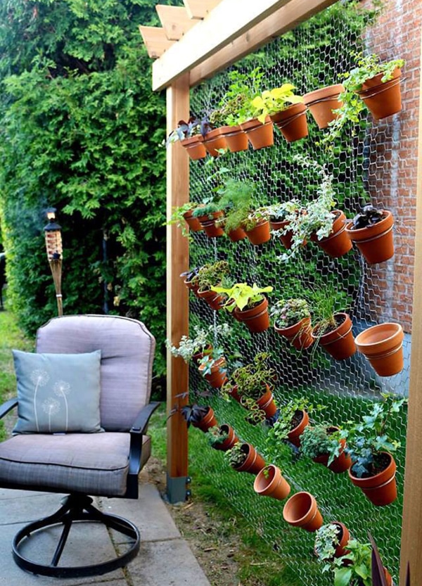 creative vertical garden in backyard