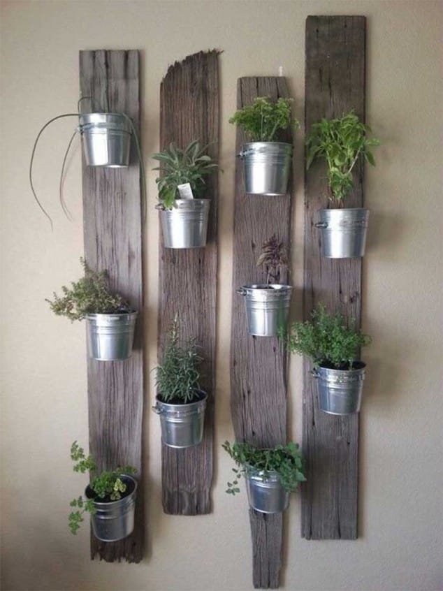 Creative Ideas How To Display Your Indoor Plants