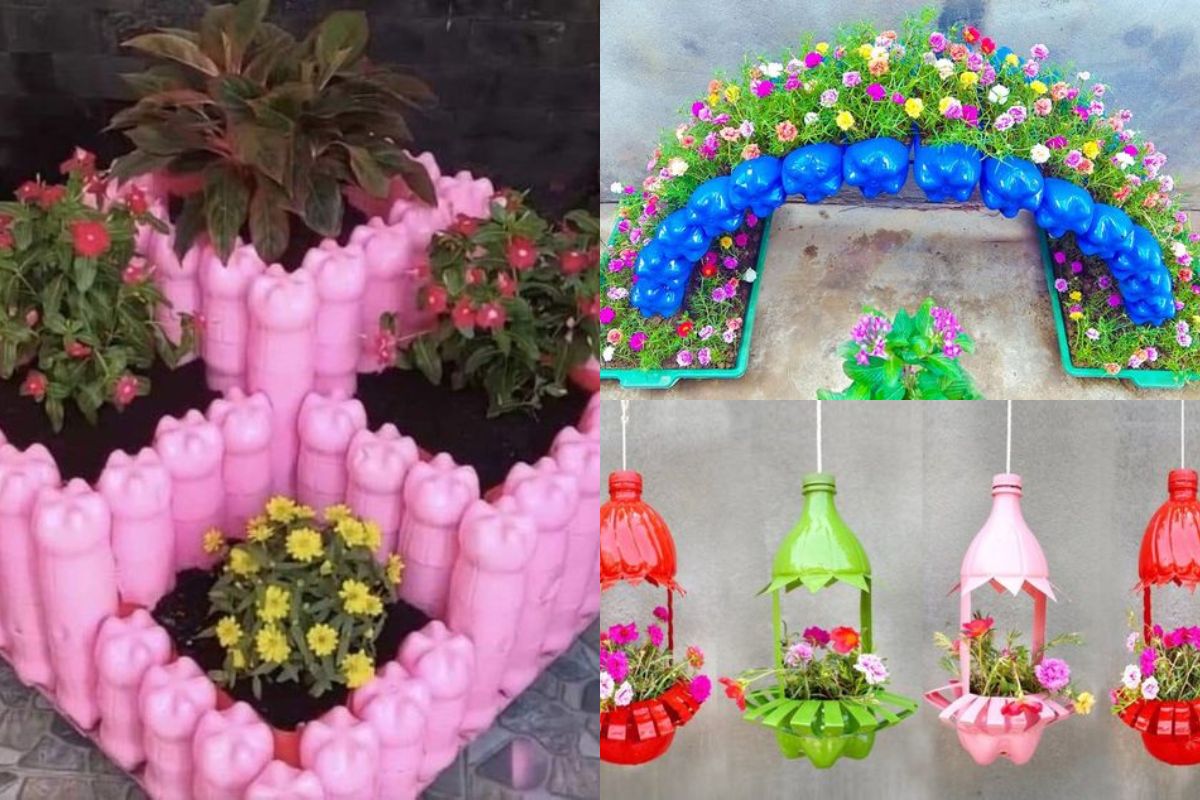 decorate the garden with plastic bottles 10