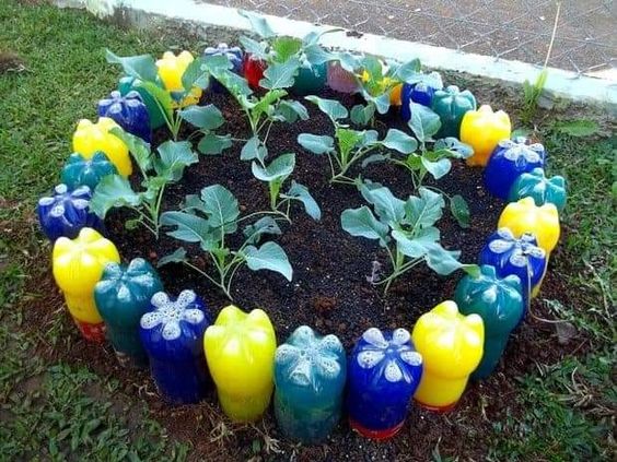 decorate the garden with plastic bottles 7