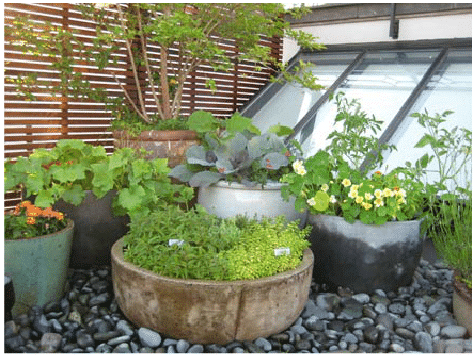 Superb Ways to Decorate Your Balcony With Pebbles