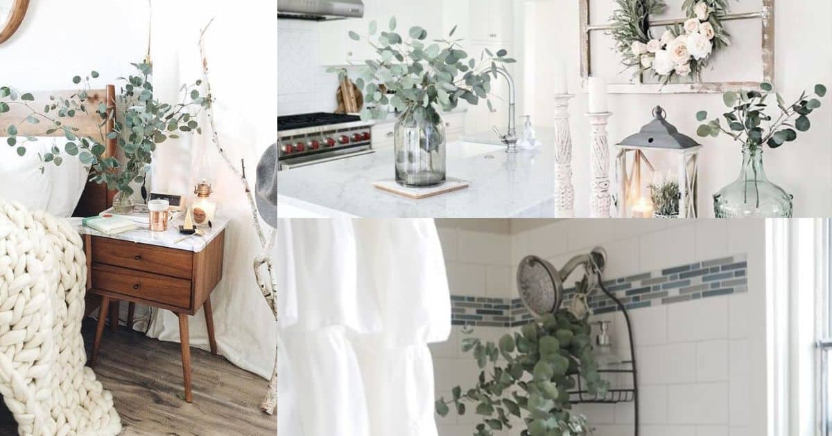 decorating with eucalyptus branches 11