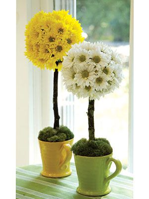 Different and Original Vase Ideas for your Flowers