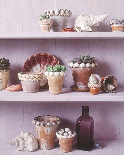 17+ Beach Worthy Projects to Create from Seashells