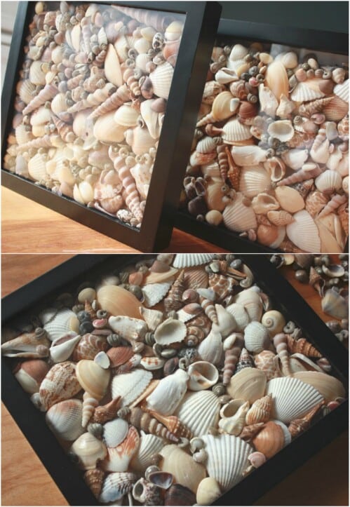 17+ Beach Worthy Projects to Create from Seashells