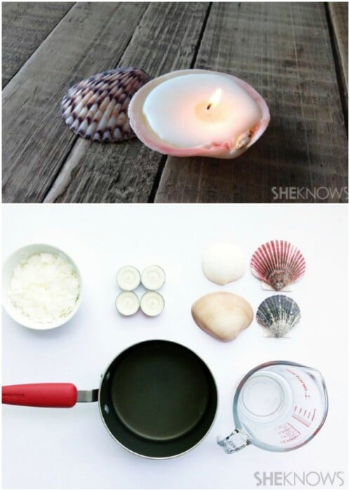 17+ Beach Worthy Projects to Create from Seashells