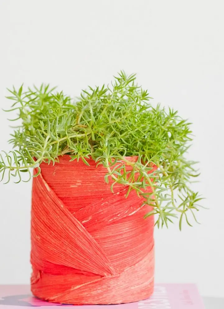 diy easy planter ideas for summer 1