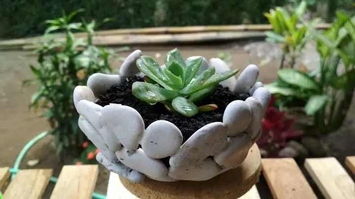 diy easy planter ideas for summer 2