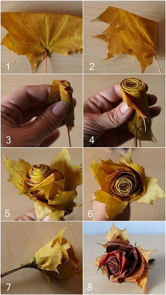 DIY Fall Leaf Crafts You Must Try