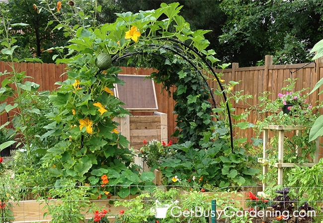 15 DIY Ideas To Your Garden