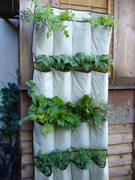 diy garden ideas 2