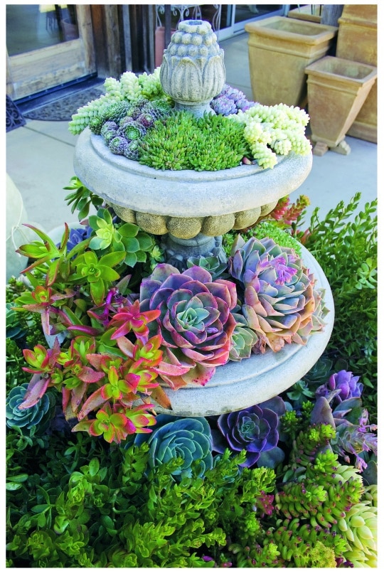 diy garden ideas 4