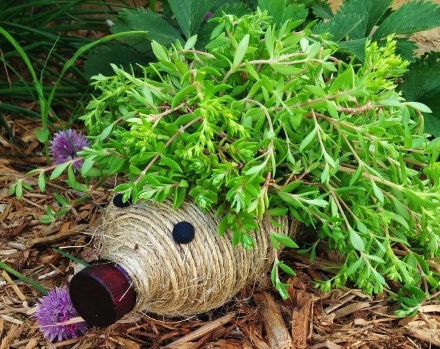 15+ Awesome DIY Projects For Your Garden