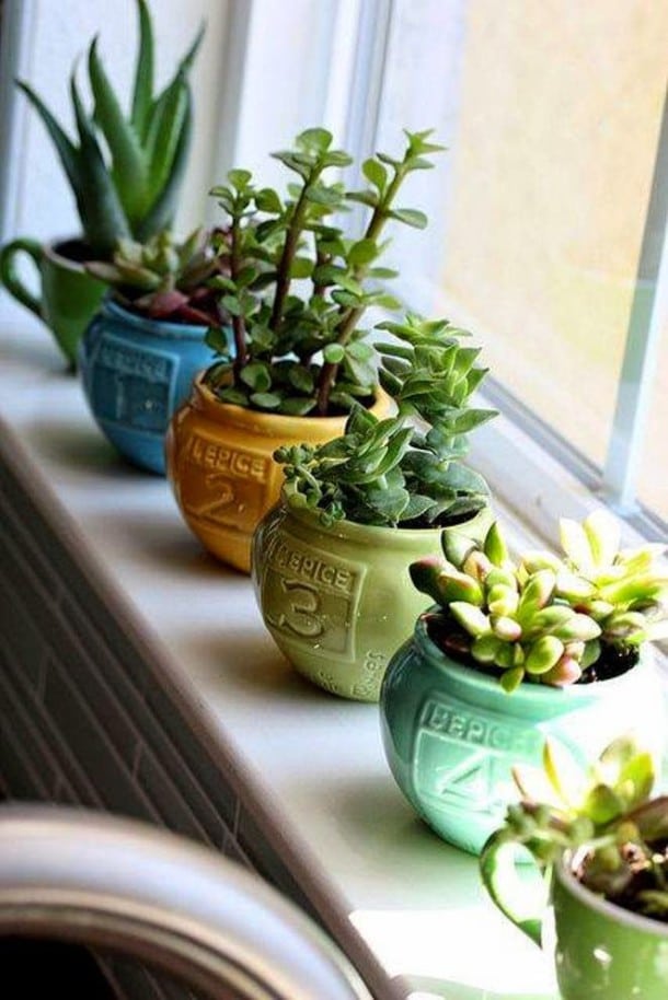 10+ Creative DIY Ideas To Grow Plants At Home