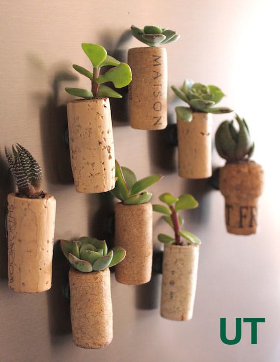 diy home garden ideas 15