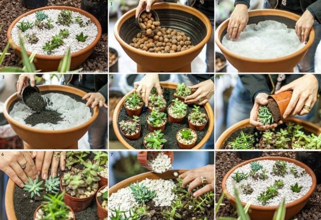 10+ Creative DIY Ideas To Grow Plants At Home