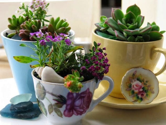 10+ Creative DIY Ideas To Grow Plants At Home