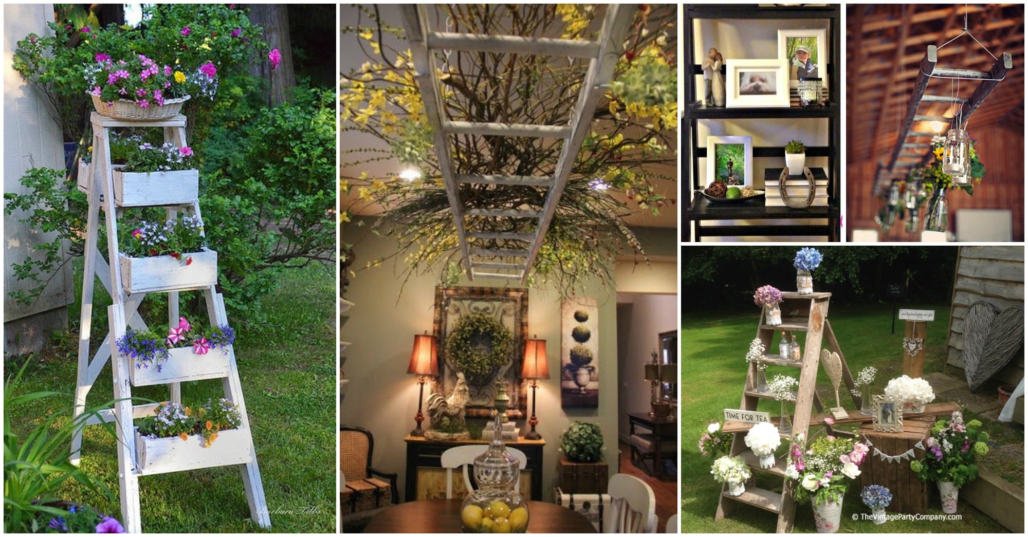 15+ Superb Ladder Decor Ideas