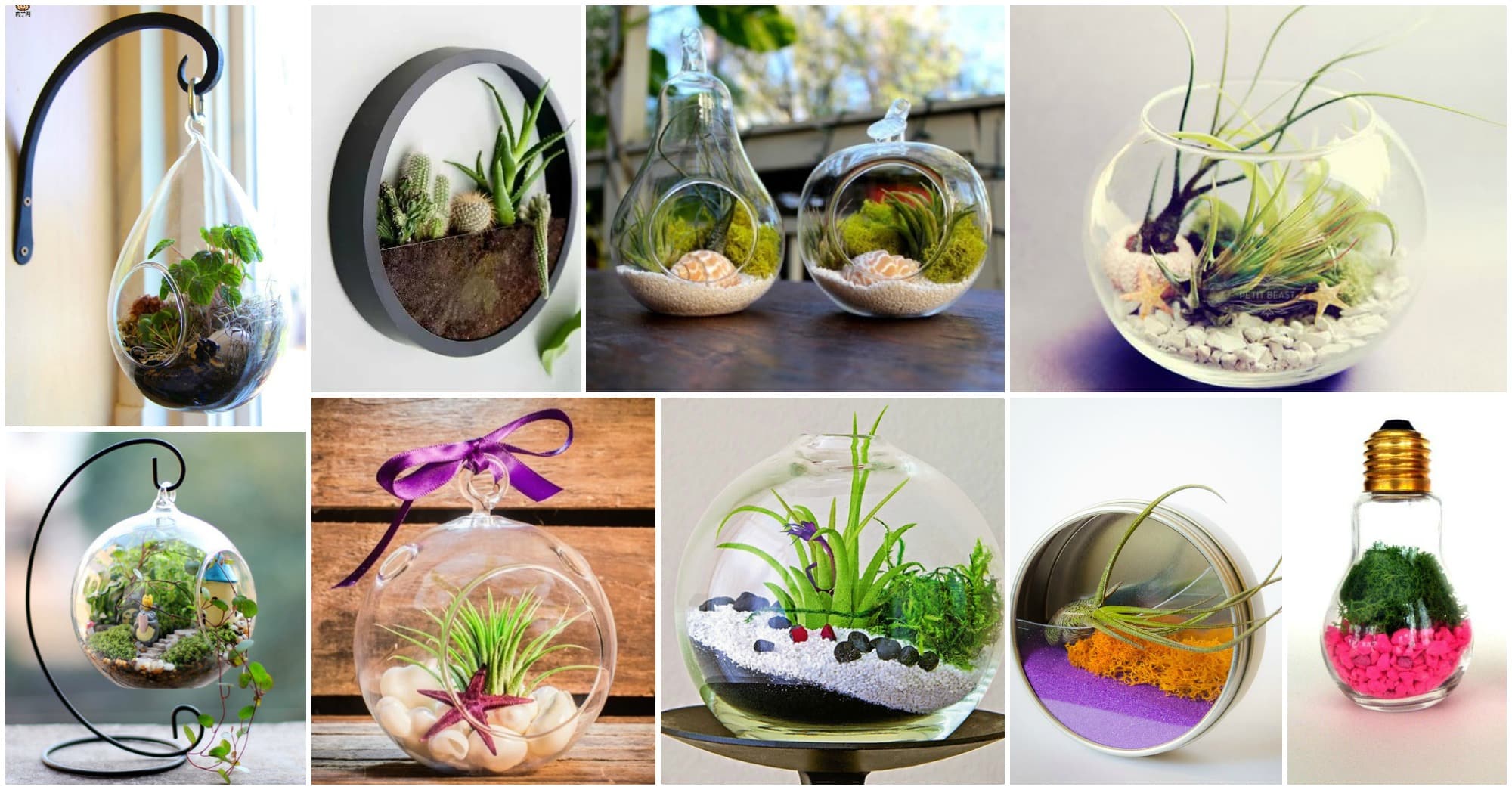 diy lovely terrarium ideas