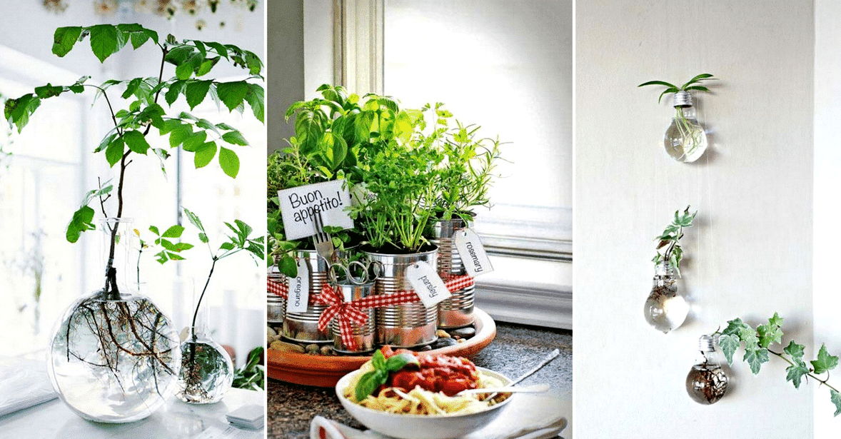 diy mini garden ideas