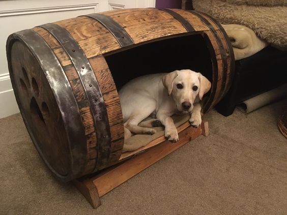 DIY Original dog houses